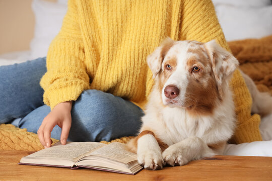 Owner with cute Australian Shepherd dog and book on bed in bedroom - Powered by Adobe
