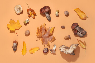 Obraz premium Composition with mushrooms and autumn leaves on orange background