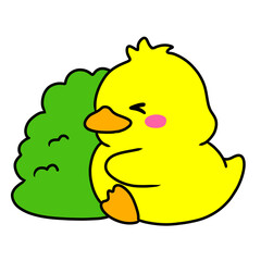 Duck