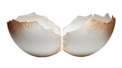 broken egg shell on white background 