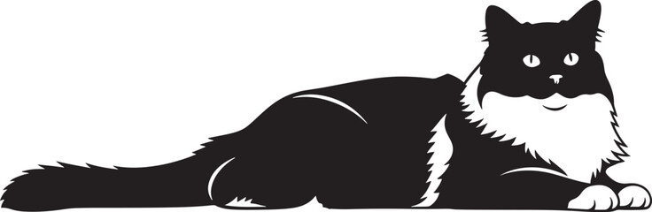 Whisk_5625bd468ebcda082d14d4474cedc2c8dr_traced