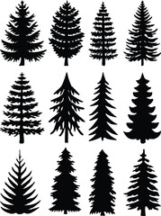 Fototapeta premium fine tree vector illustration design