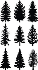 Fototapeta premium Vector set of green fir trees and leafy plants for nature forest or Christmas holiday decoration