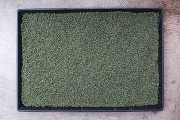 Surface of sand and small grave