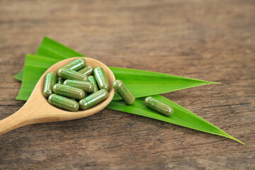 Herbal capsules from green pandan leaf herbal on hand for healthy eating in daily life