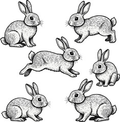 Six Cute Rabbit Silhouettes Vector Art