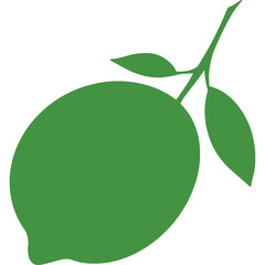 A green silhouette of a lime with two leaves on a stem isolated on a transparent background.