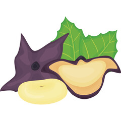 A Graphic Illustration of Water Chestnut and Water Caltrop Fruit with Green Leaves and Purple Outer Shell on a Transparent Background Ideal for Food and Beverage Industry