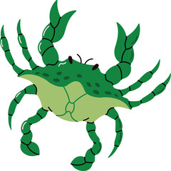 A green crab with articulated legs and claws raised in a defensive or aggressive pose isolated on a white background with a transparent background effect