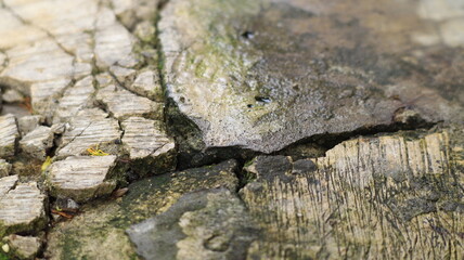 The floor made of cement broke into irregular pieces.