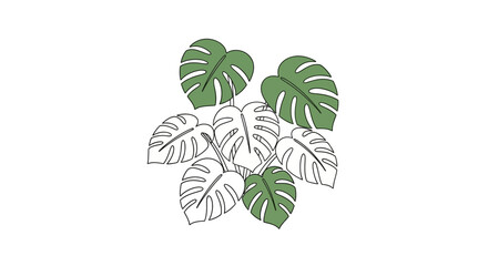 Artistic Monstera Leaf Arrangement in Green Tones and Outline Forms on White Backdrop