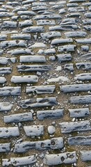 Weathered cobblestone path showing signs of wear and tear in intricate detail