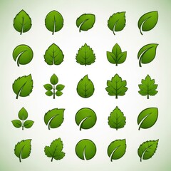 Assortment of green leaves, foliage, botanical elements and fresh design