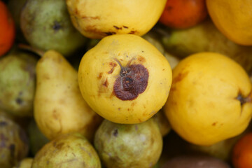 moldy fruits displayed at a local market stand
