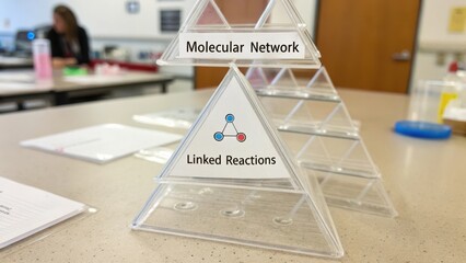 Educational display model featuring molecular network and linked reactions concepts in a science classroom setting for learning purposes