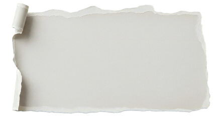 Stylish ripped paper edge with delicate texture, perfect for adding a touch of raw elegance to your design projects and creative layouts