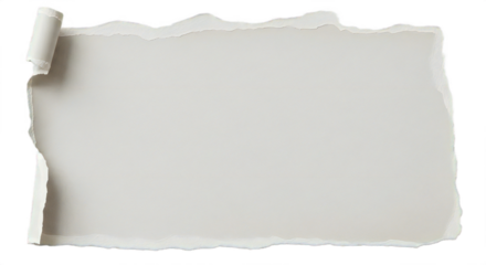 Stylish ripped paper edge with delicate texture, perfect for adding a touch of raw elegance to your design projects and creative layouts