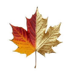 Obraz premium Modern gold-dipped autumn leaf for elegant fall, Thanksgiving, wedding, or Christmas decor. Ideal for holiday greetings, craft projects, luxury branding. Isolated on transparent background.