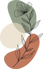 Minimalist Botanical Line Art with Abstract Shapes