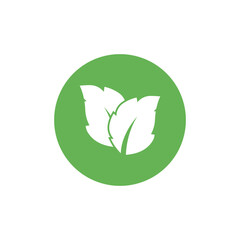 Leaf mint logo vector template