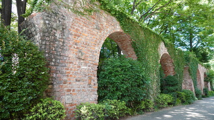 レンガの壁を這う蔦