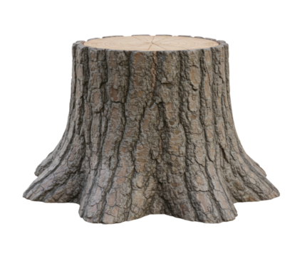 Tree stump transparent background cutout png