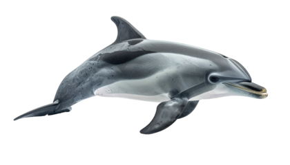 A sleek dolphin glides, its body shades of gray against a pure black background