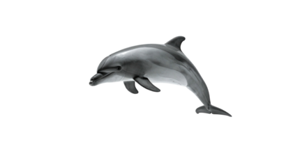 Realistic grayscale depiction of a dolphin leaping against a stark black background
