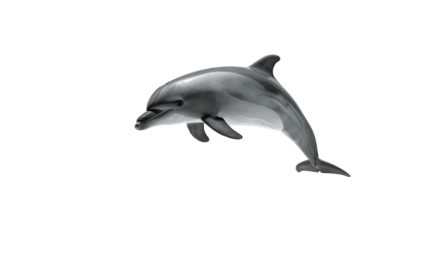 Realistic grayscale depiction of a dolphin leaping against a stark black background