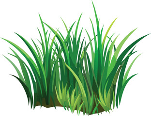 Fototapeta premium A vibrant cluster of lush green grass blades isolated on white
