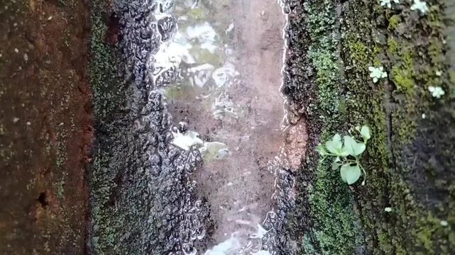 water flowing in the gutter with clear water with slightly mossy edges
