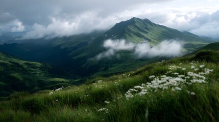 Fototapeta premium A serene mountain summit bathed in soft light with lush green meadows and scattered white flowers under dramatic clouds