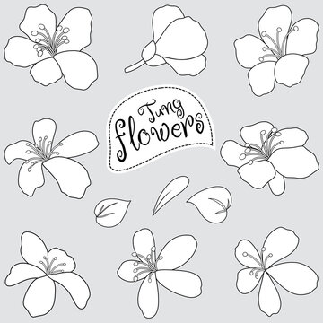 A collection of vector line Tung flower illustrations in various styles, isolated on a green background.