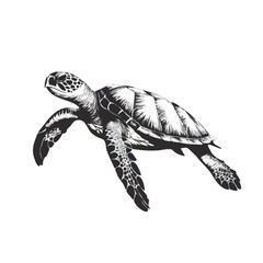 Fototapeta premium sea turtle vector illustration