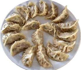 Japanese or chinese food gyoza dumplings chinese food gyoza dumpling, steam gyoza in white plate isolated on white background 