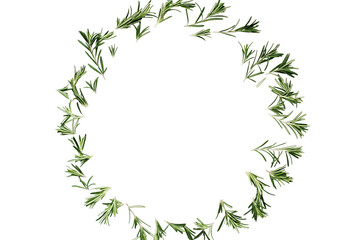 Rosemary leaves pattern circle top view  isolated png cutout object on transparent  background . Food aromatic spice ingredient