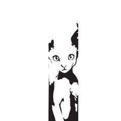 Stylized Cat Silhouette Vector — Black and White Vertical Illustration with Intense Eyes and Minimalist Artistic Framing