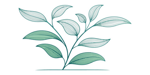 Vector illustration of a plant with green leaves and thin line details on a white background design space