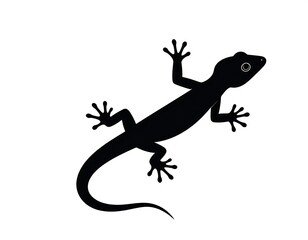 Naklejka premium Silhouette of a small reptile with textured feet and a long tail, black on white