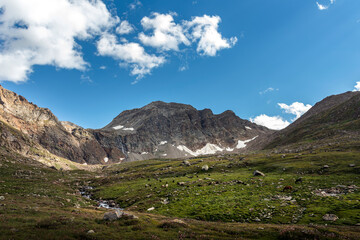 Alpine Valley and Snow-Capped Peaks, Himalayas, Pakistan
