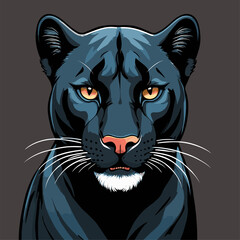 cute black panther vector image