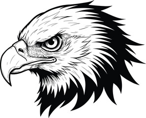 Fierce eagle head sketch black and white design, powerful bird illustration, wild animal art, cad drawing flat vector illustration