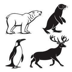 Polar bear seal penguin and deer graphic illustrations