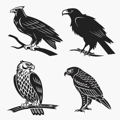 Four black silhouette birds of prey on white background