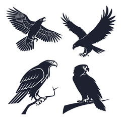 Four dark silhouette birds of prey in flight and perched