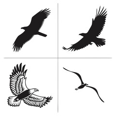 Four black bird silhouettes in flight on white background