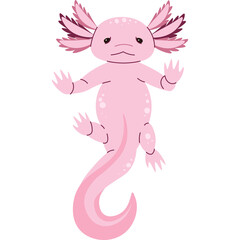 Cute Pink Axolotl With Gills And Tail Floating On Transparent Background In A Playful Pose