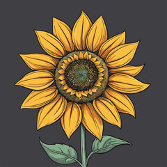 vector image of a graceful sunflower