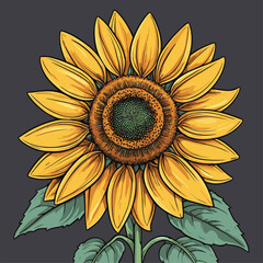 vector image of a graceful sunflower