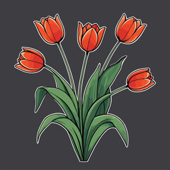 vector image of beautiful tulips